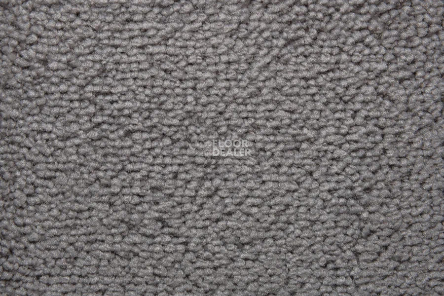 Vorwerk Superior 1064/Lyrica Vorwerk 5x83 фото 6 | FLOORDEALER